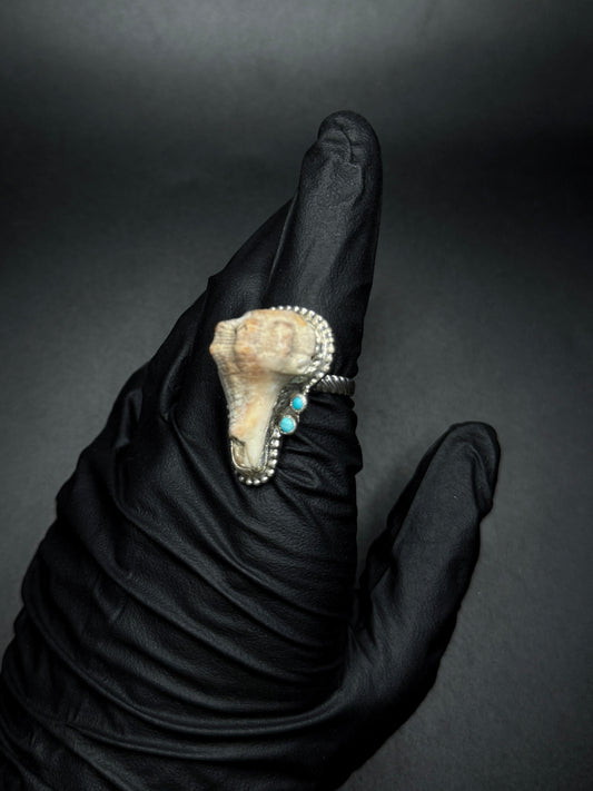 Seashell & Turquoise sz. 8