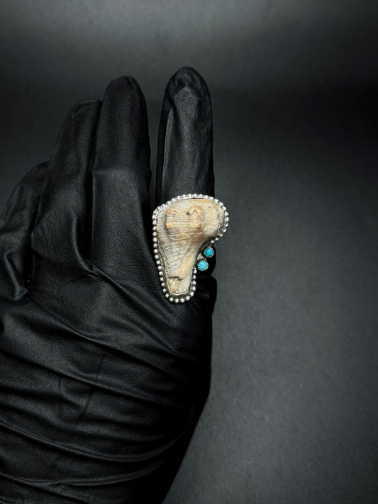 Seashell & Turquoise sz. 8