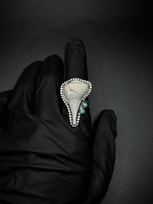 Seashell & Turquoise sz. 7.5