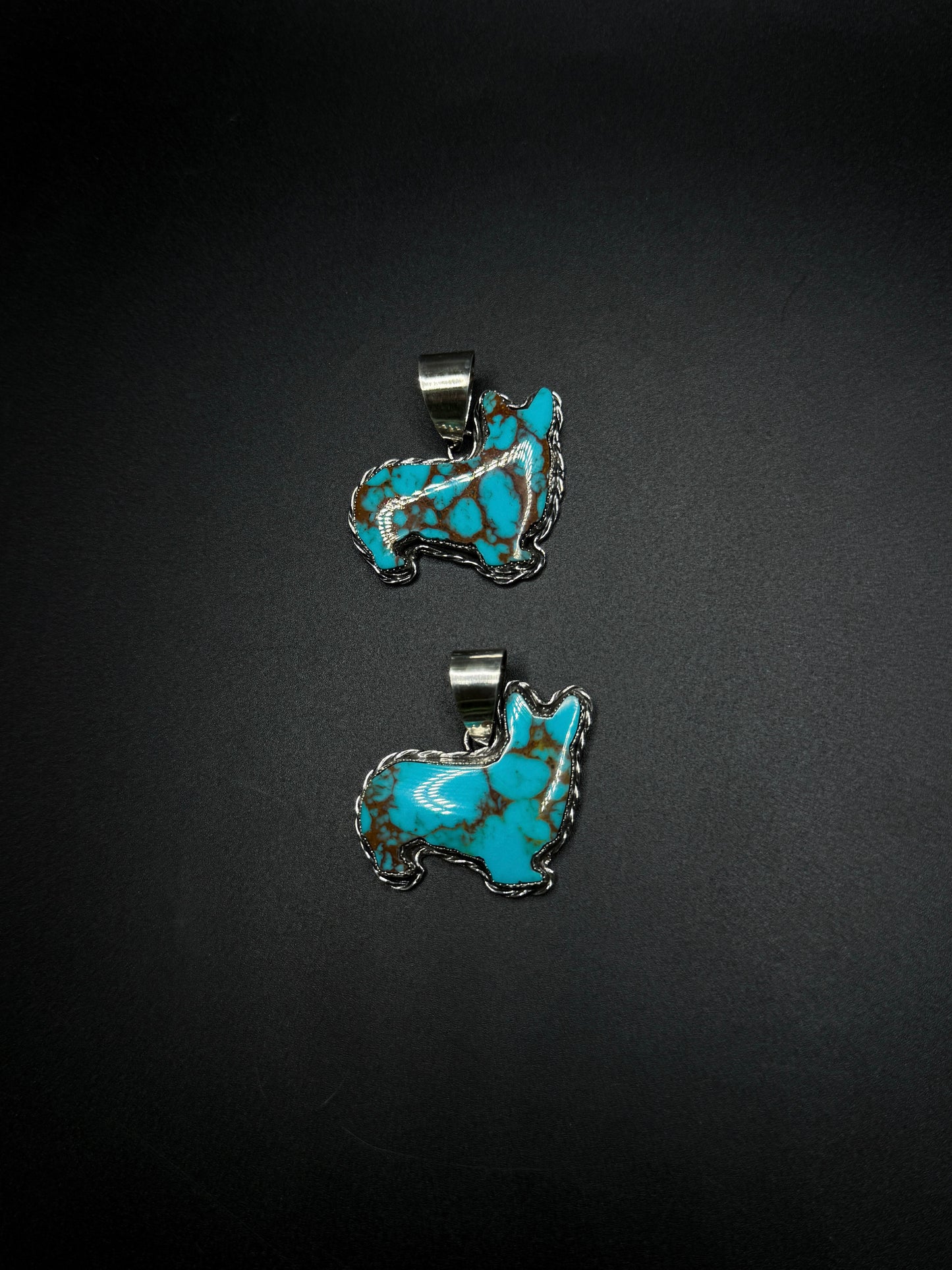 Turquoise Corgis