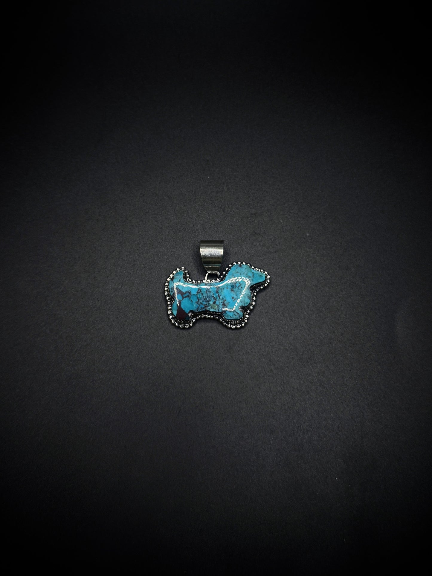 Turquoise Dachshund #1