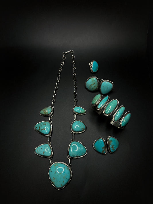 another sonora 1.0 group picture